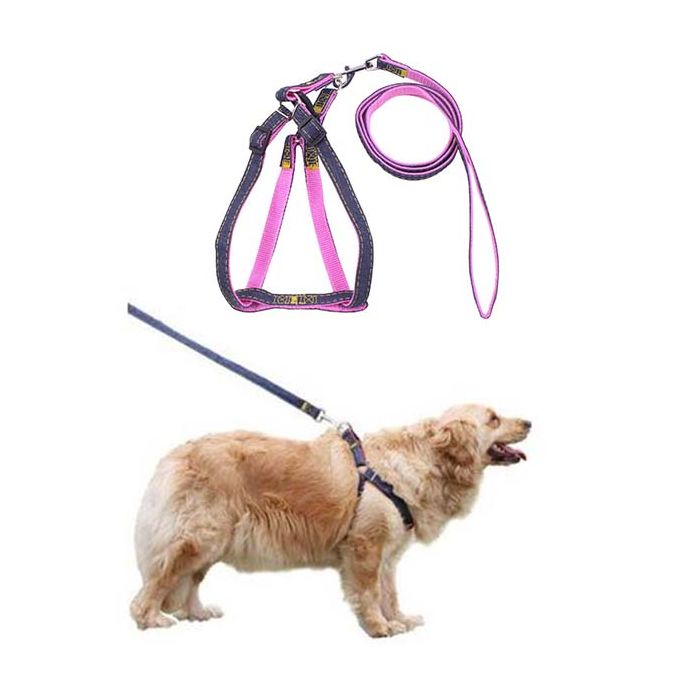 Small Ultra Dog Leash - Comfortable Dog Walking Harness